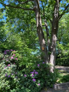 de Merel - Vught - 3