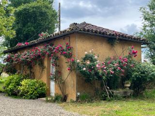 Charmante petite maison avec piscine - Monguilhem - 9