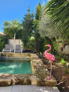 La Provence centre ville, piscine, jardin, terrasse - Nimes - 9
