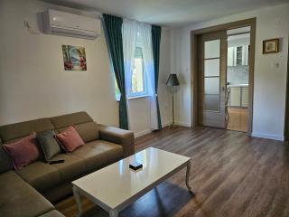 Apartman Mano - Topla - 7