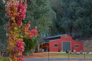 Appalachian High Country Retreat - 7
