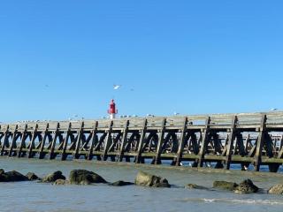 Deauville Marina Cosy F3, bord de mer, terrasse exposée sud-ouest - 3