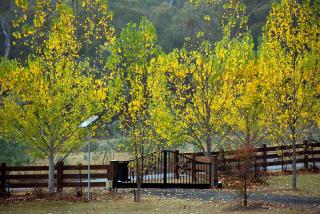 Appalachian High Country Retreat - Bonnie Doon - 8