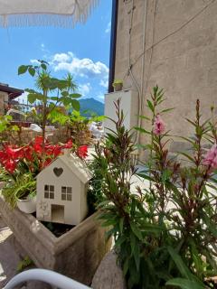 APARTMENTs VISIT PERAST - Perast - 6