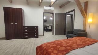 Symbiola Apartments - Děčín - 5
