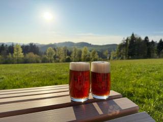 Berghotel Hoher Knochen - Winterberg - 7