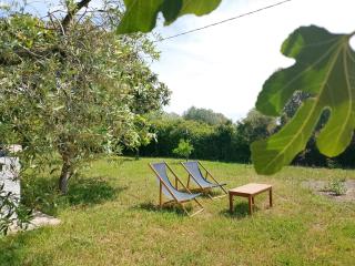 Larucchettina - Alguer - 8