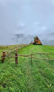 Cottages in Chirdili - 1