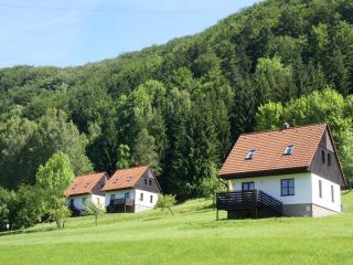 Mansion in Starkov with shared pool - Stárkov - 4