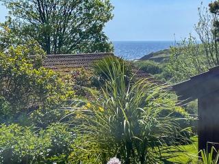 The Hut Hotel - Falmouth - 1