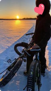 Blue Moment at the Arctic Circle- Forest, beach, activities - 5