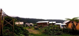 Chez Marilou - La Plaine des Palmistes - 1