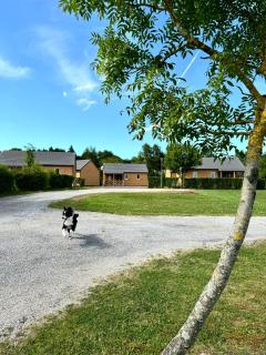 Chalet dans le Perche - Soligny-la-Trappe - 5