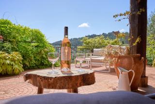 Charme provençal Les amandiers piscine et animaux - 7