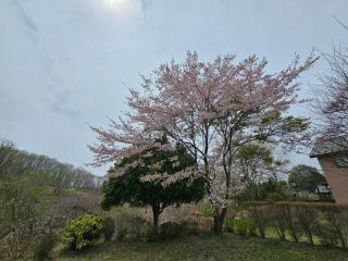 pet friendly Nasu Royal Villa リニューアルOpen ペットと泊まれる貸切別荘 那須ロイヤルヴィラ - Nasu - 1