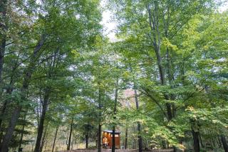The Bracken Cabin at Fernwood Hills - Strathroy - 7
