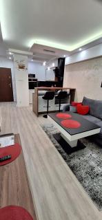 apartament rodzinny - Krynica-Zdrój - 1