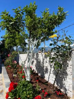 Amazing familiar apartments and rooms - Saranda - 3