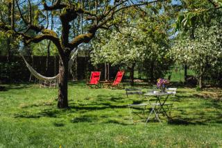 Ferienhaus Am Silberberg, Bad Saarow - Bad Saarow - 9