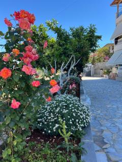 Amazing familiar apartments and rooms - Saranda - 4