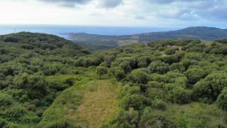 Isola Rossa La Paduledda Appartamento vista mare Il Mirto - Cascabraga - 1
