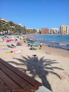 El paraiso de Hanna - Torrevieja - 1