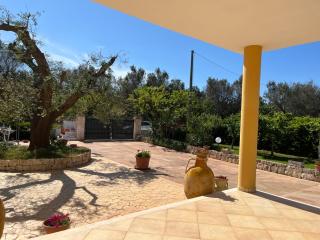 Villa Pergola - San Michele Salentino - 4