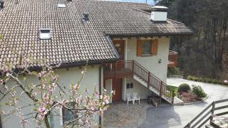 Maso Rive - Pergine Valsugana - 0