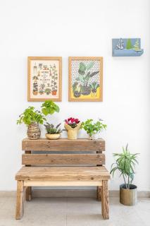 Urban Oasis in Jaffa Steps from the Coast - Tel Aviv - 1