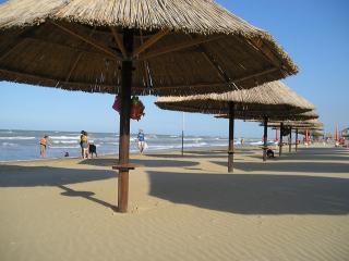 Appartamento in centro a 2 passi dalla spiaggia con parcheggio gratuito - Pescara - 0