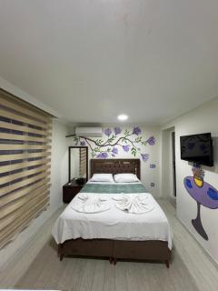 Sultanahmet blue yacht house - Estambul - 7