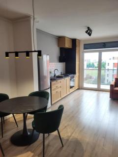 Sika Select Grand Apartment-NEW ON BOOKING - Arad - 0