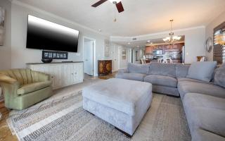 Phoenix X 617 condo - 4