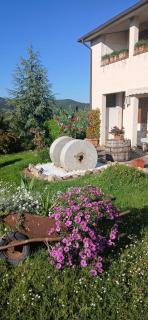 Il Mulinetto - Canalicchio - 0