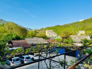 Guest House Riverside - Borjomi - 1