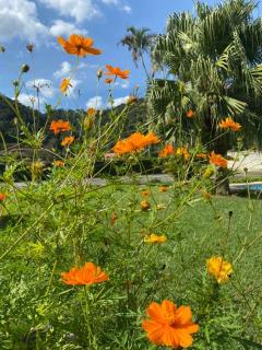 Country house to enjoy nature - Teresópolis - 9