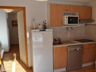 Charmant appartement avec grande terrasse exposée plein sud et garage! - FR-1-692-26 - La Chapelle-dʼAbondance - 6