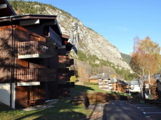 Studio 4 pers avec balcon S/O, parking, casier à skis - Abondance - FR-1-692-60 - Abondance - 3