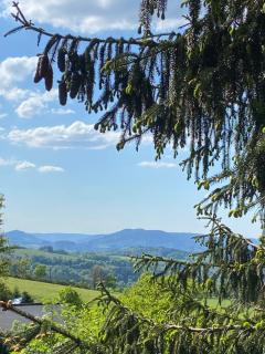 Chalet authentique au calme, en lisière de forêt, montagne, sentiers 15mn Gérardmer & Alsace "Chalet Mon beau sapin" - Anould - 5