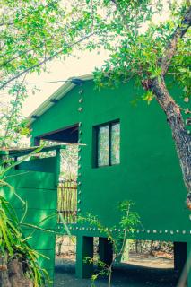 Jardin Secreto - El Viejo - 8