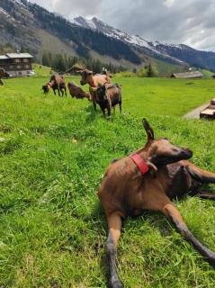 Le Week-End 3 étoiles, plein centre ville - 3