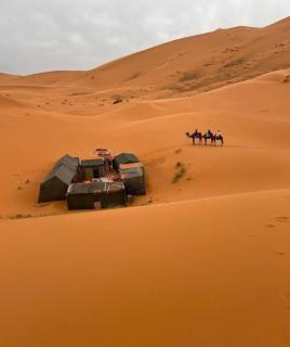 Merzouga Nomad Camp - Merzouga - 0