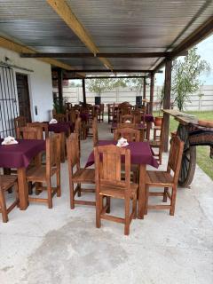 Finca el jaguar - - 2