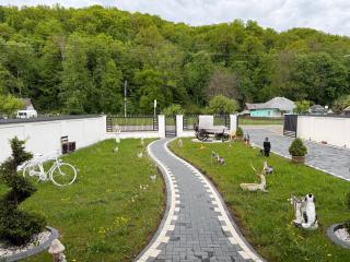 Cabana Razvan Forest - Mînăstirea Neamţ - 7