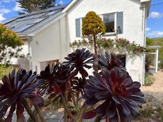 Treen House - Treen - 2