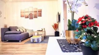 Appartement cosy à deux pas de la cathédrale - Reims - 1