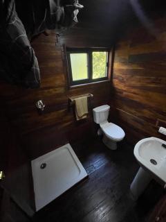 Roots in the River - Livingstone - 3