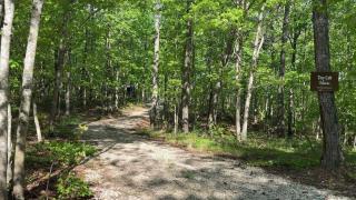 Tiny Cub House with Fast WiFi and Dog Friendly - Mentone - 3