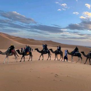 Sahara Merzouga Desert Glamping - Merzouga - 6