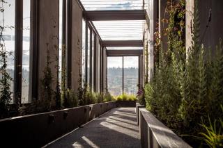 Executive suite and top amenities - Quito - 7